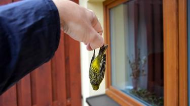 Uploaded via SharePoint Integration