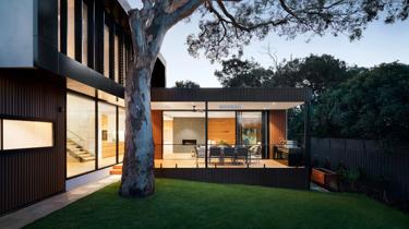 brown tree near white concrete building