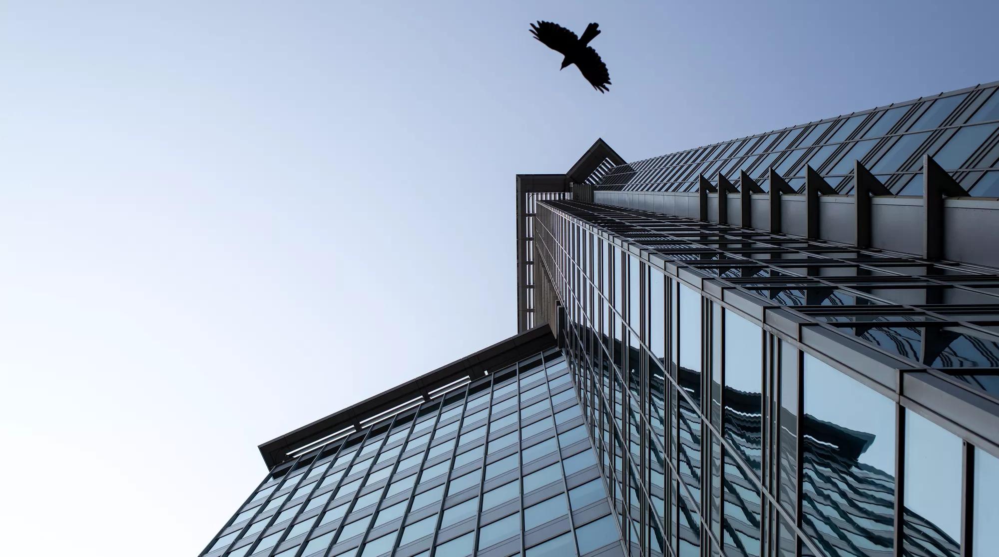 Adobe Stock 222794222.jpg